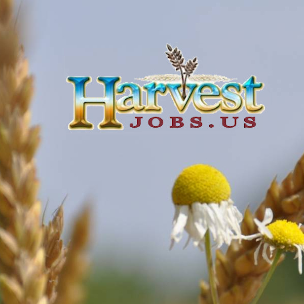 fb_inline_harvestjobs_logo Digging Deeper Media